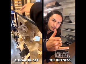 This is the Avatar Image for the alugalug cat AI Voice and Text to Speech Generator